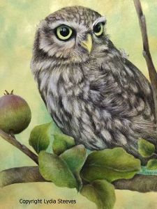 Newton - CP Online Class